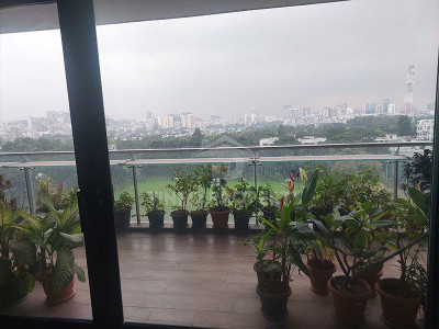 6500 Sq Ft Commercial Office Space for Rent in Banani